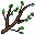 Branch Image