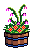 Village Pot Summer